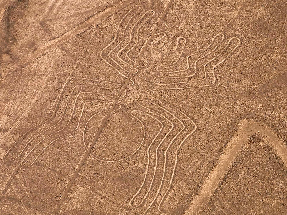 Nazca Lines Flight Tour