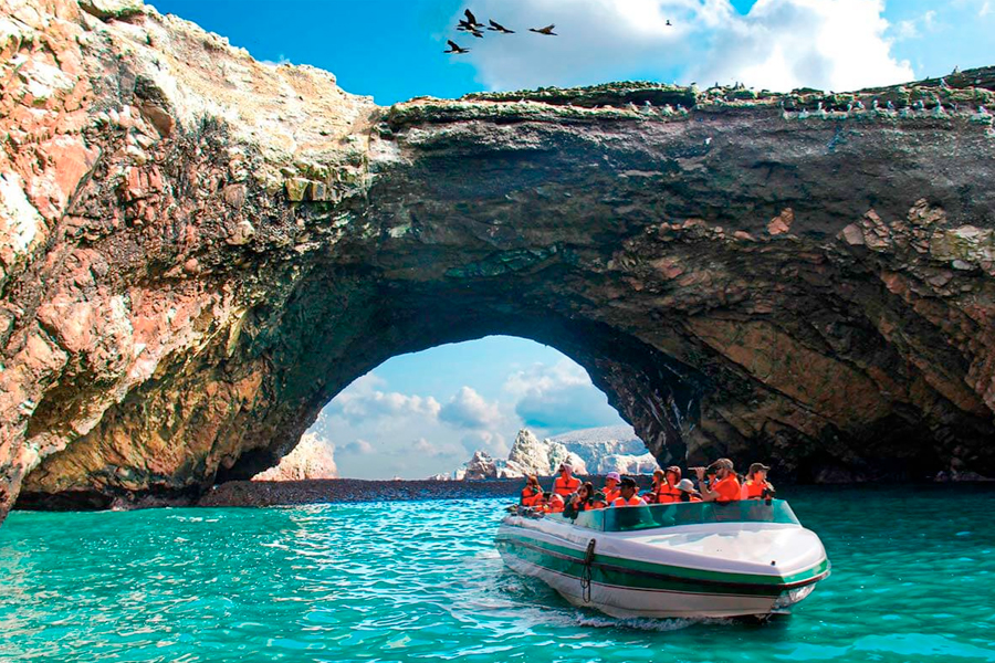 ICA Y PARACAS FULL DAY