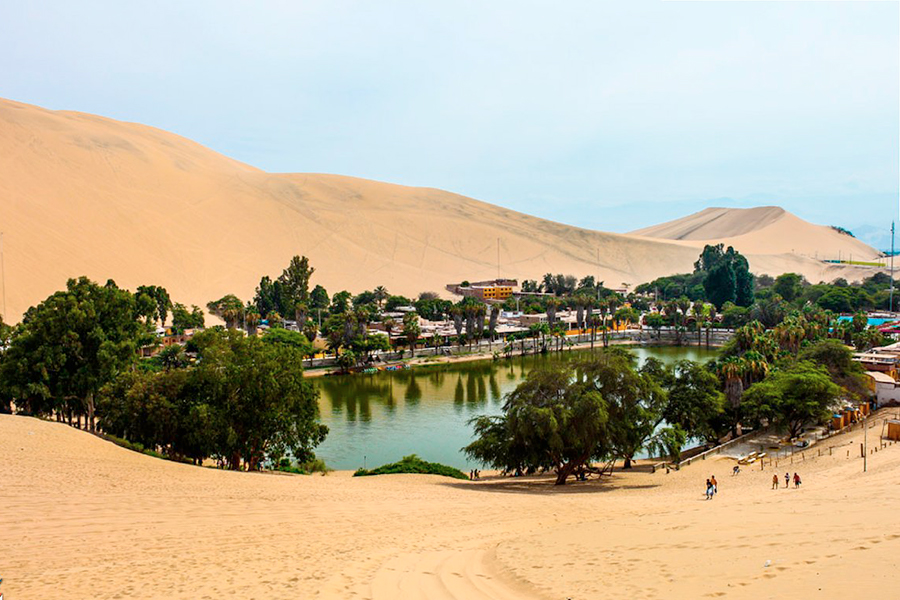ICA Y PARACAS FULL DAY