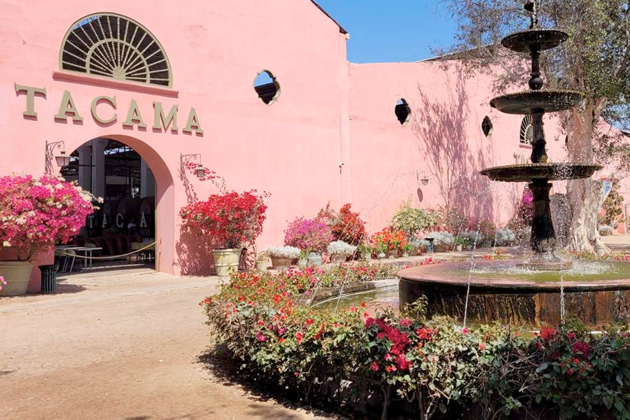 ICA Y PARACAS FULL DAY