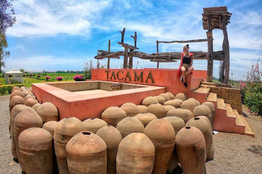 ICA Y PARACAS FULL DAY